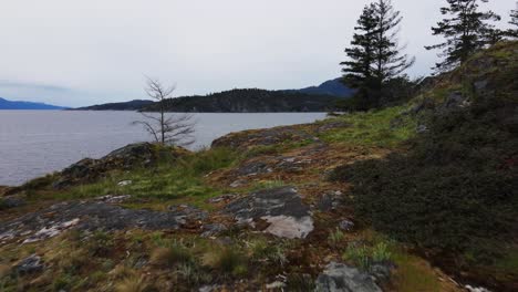 drone shot along the sunshine coast in british columbia