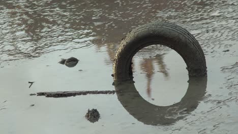 old car tire in mud.