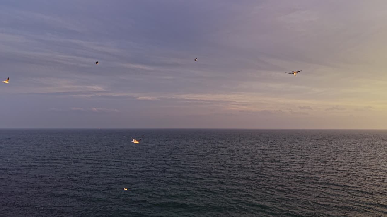 Birds flying over the sea near Nesebar, Bulgaria during sunset