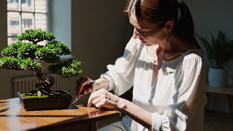 woman pruning a bonsai tree