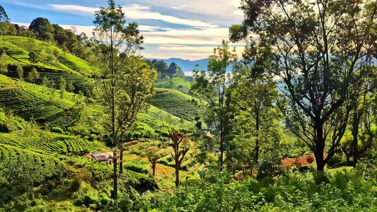 Rice Terrace Fields And Greenery Tropical Forests Seen Through Ella Towards Kandy Train In Sri Lanka. POV shot