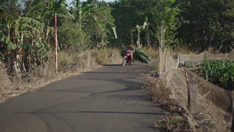 woman transporting produce on a motorcycle