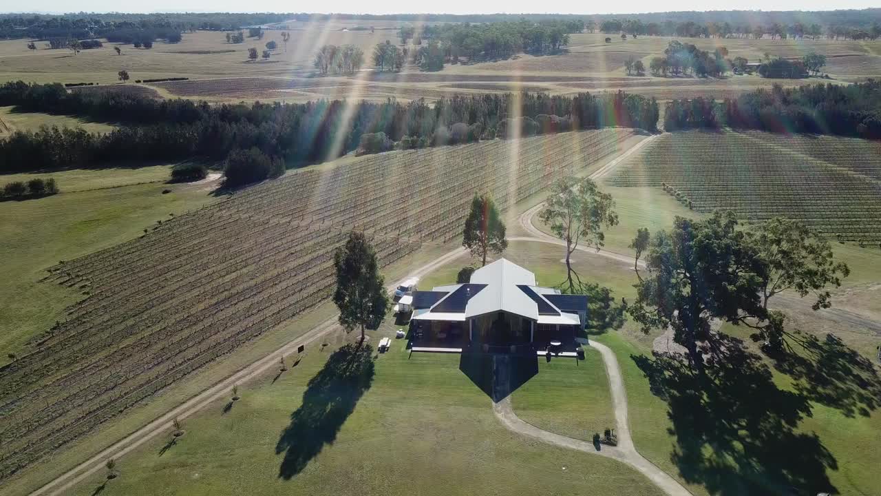 Veduta aerea di un vigneto e di una fattoria con erba verde