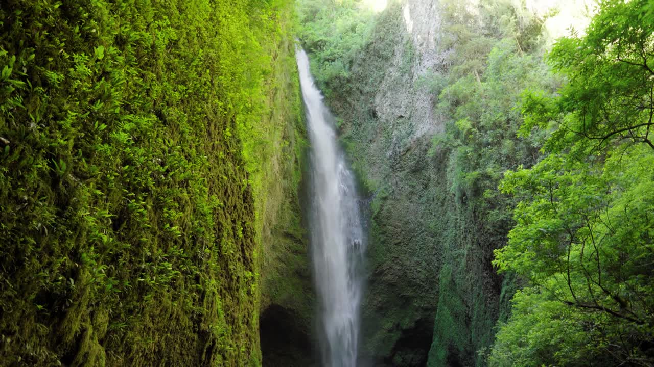 Gerakan tilt-up air terjun berkabut Mili Mili yang tersembunyi jatuh ke kolam alami yang dikelilingi oleh vegetasi hijau lebat, Coñaripe, Chili.
