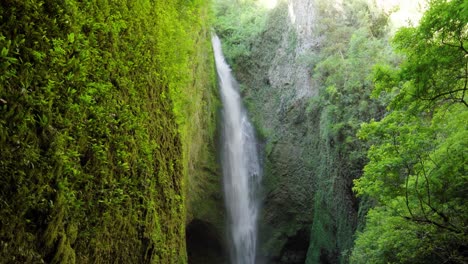 tilt up of hidden mili mili misty waterfall falling into natural pond surrounded by dense green vegetation, coñaripe, chile