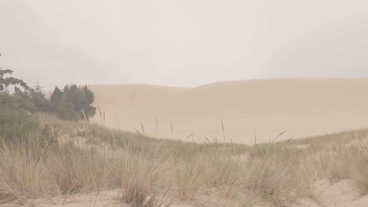 Eerie isolated misty sandy dunes park area in daylight