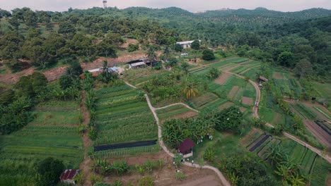 antena de granja orgánica con variedad de plantas y verduras