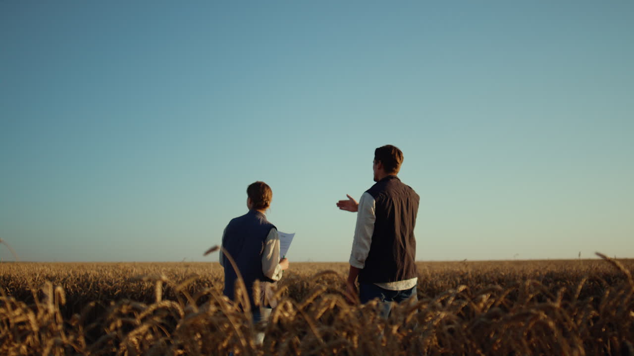 밀 ⁇ 을 함께 가꾸는 농부 들. 아름다운 시골 풍경.