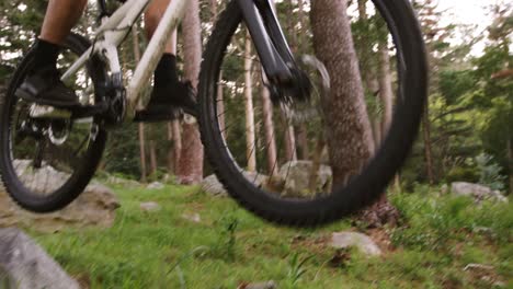 Male-mountain-biker-riding-in-the-forest