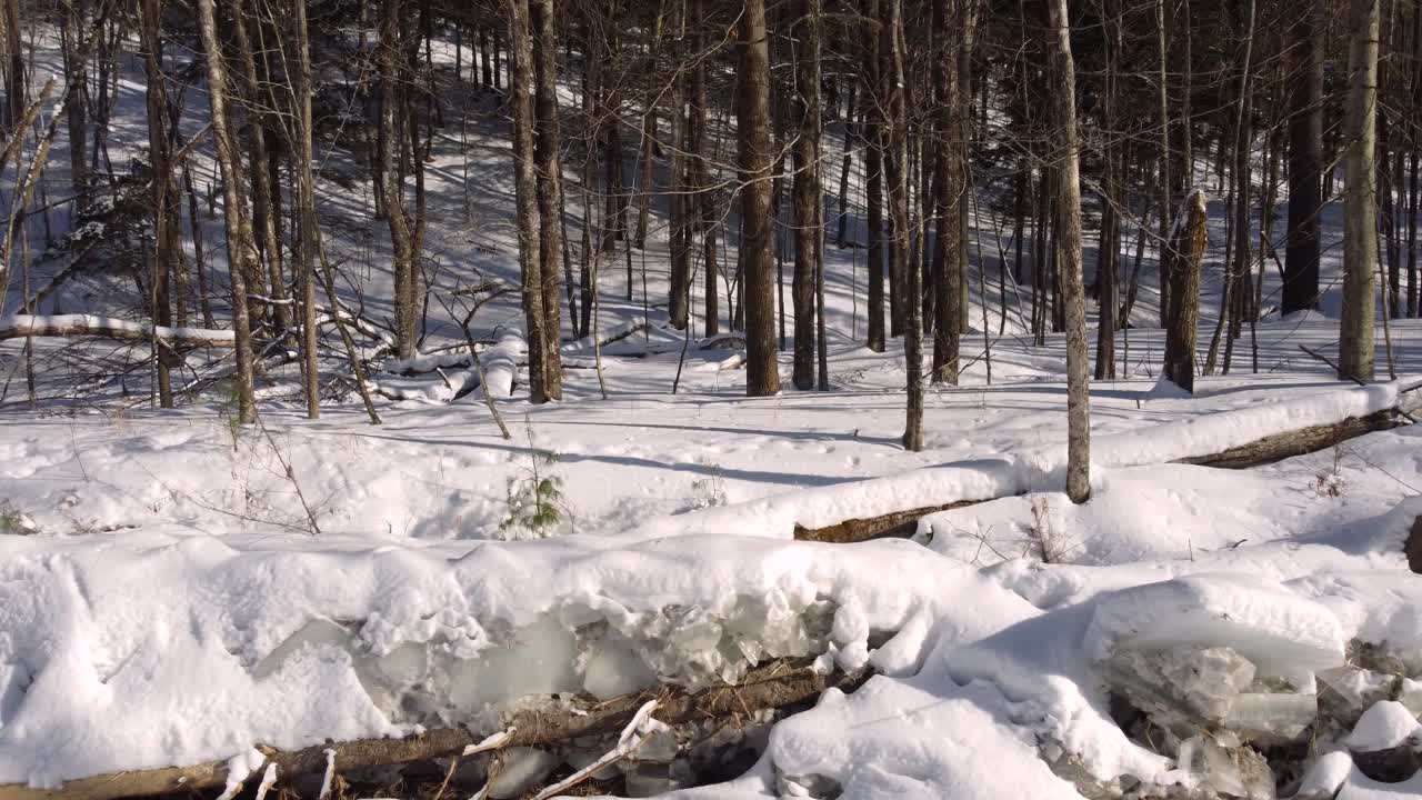 Drone Shot of Broken Trees by Frozen River and Snow Capped Forest on Sunny Winter Day