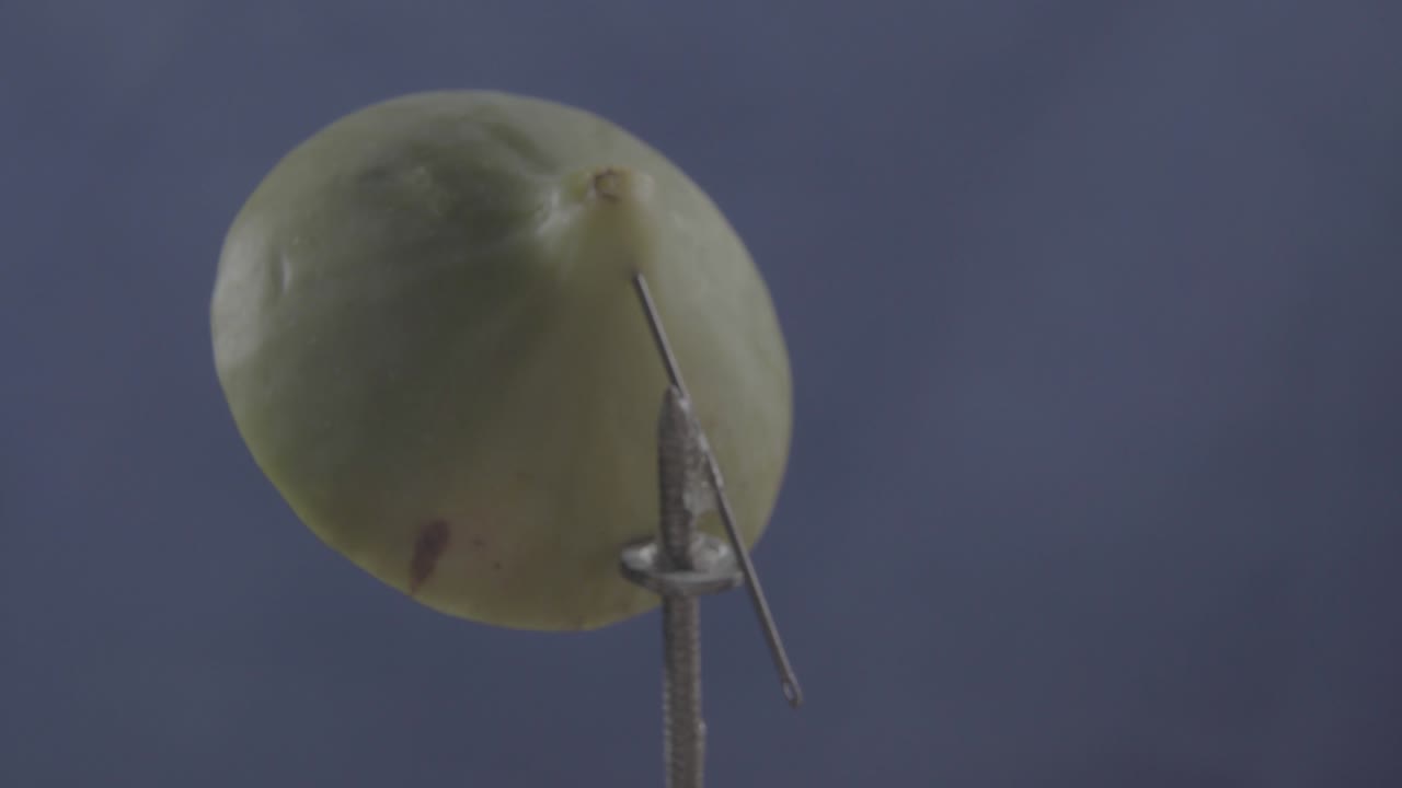 figo girando con bucle en la pantalla azul para la tecla de croma