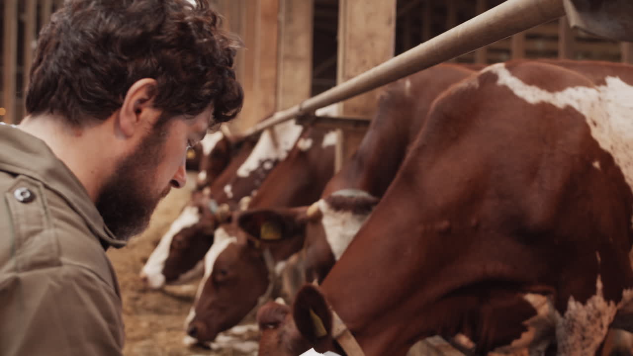 Man Taking Notes on Cow Farm