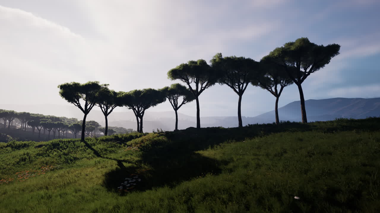 광대한 아프리카 풍경을  ⁇ 고 있는  ⁇  위를 날아다니며