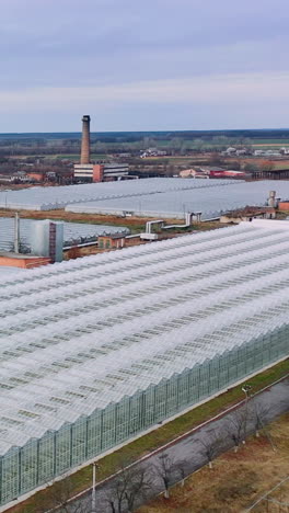 glass greenhouses. aerial view. a flight over agricultural buildings from above. vertical video