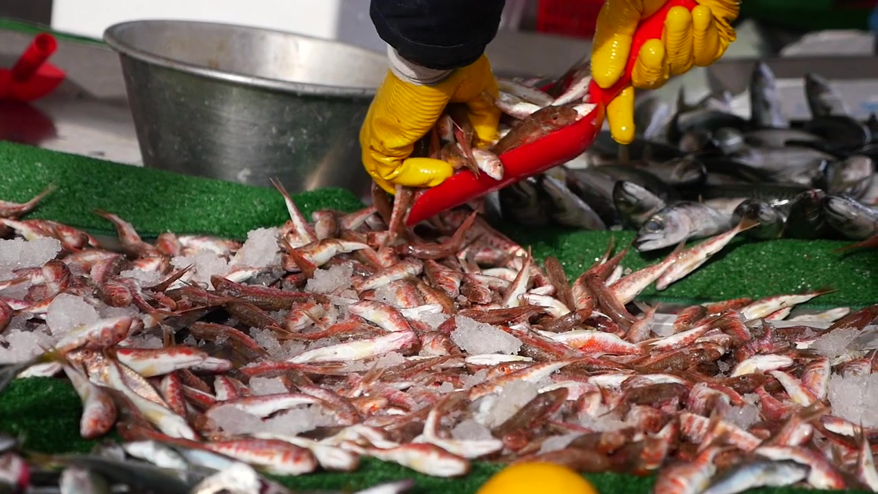 Vendedor sirviendo pescado fresco de salmonete sobre hielo en el mercado
