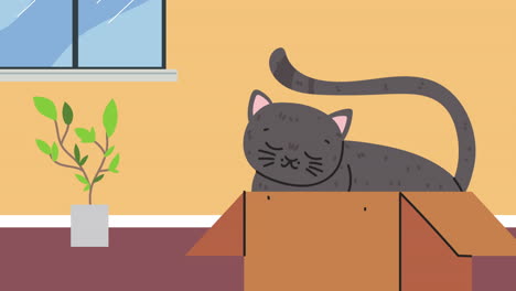 cute cat mascot in box home scene