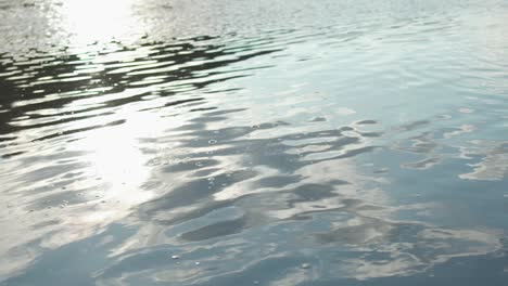 ripples on water surface with sunlight reflection