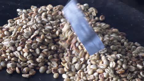 close up shot to the coffee girl while she roasting the beans, in this shot the beans still green, and yet to be turn into dark color after roasting process