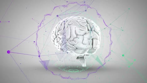 animación de conexiones con procesamiento de datos sobre el cerebro humano