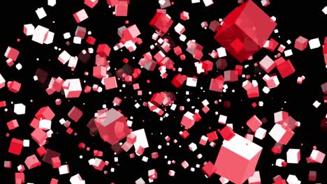 3d floating flying spinning cube shape square animation movement in space on black background visual effect geometric pattern colour red