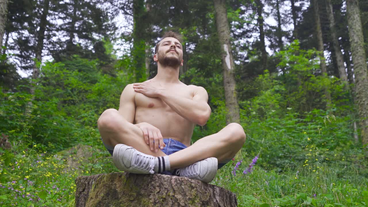 숲에서 편안한 움직임을 하고 있습니다.