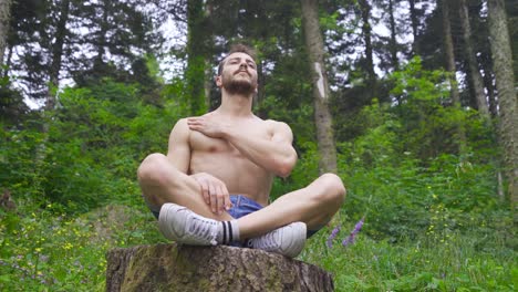 doing relaxing moves in the forest.