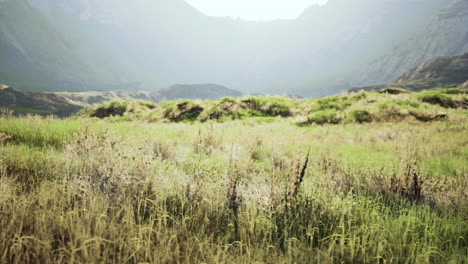 serene grassland landscape with mountains in the background