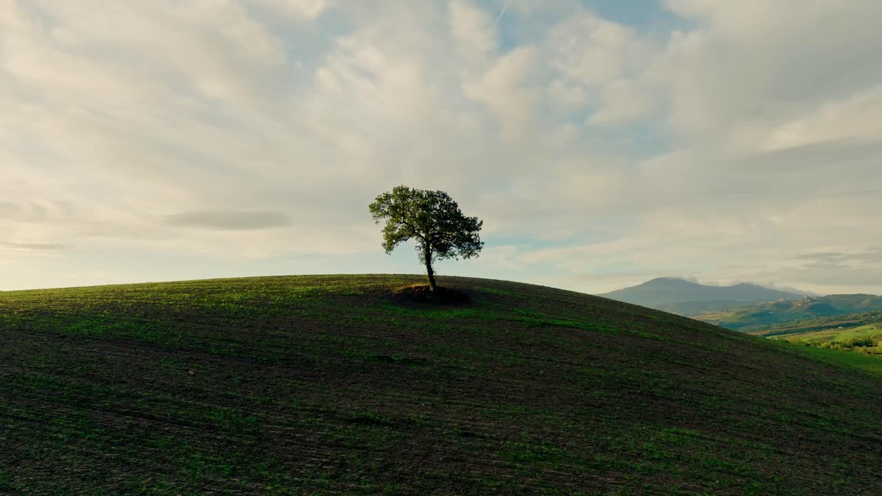 Aerial of a lone tree in the middle of a ploughed field in Tuscany in low light, Province of Siena, Italy