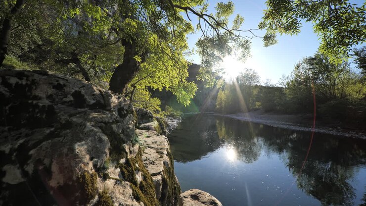 Terrazza naturale con alberi su scogliere lungo un fiume, Francia, Hérault.