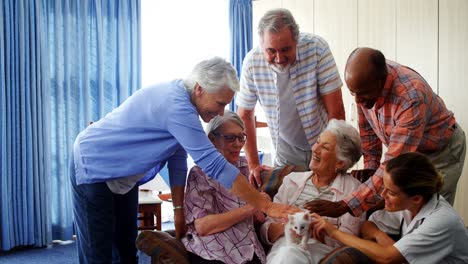 amigos mayores y una doctora acariciando a un gatito en un hogar de ancianos 4k