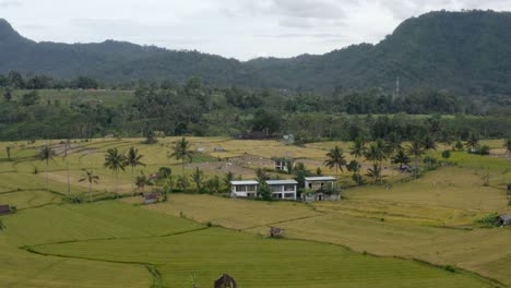 Amplia-Panorámica-Aérea-De-Casas-Junto-A-Campos-De-Arroz-Y-Verdes-Colinas-En-Indonesia