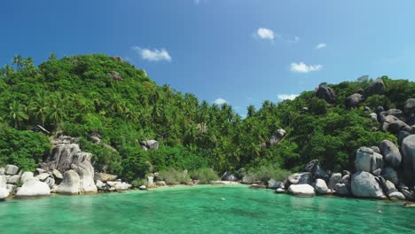 palm trees are seen growing on a rocky coastline of ko tao thailand 1