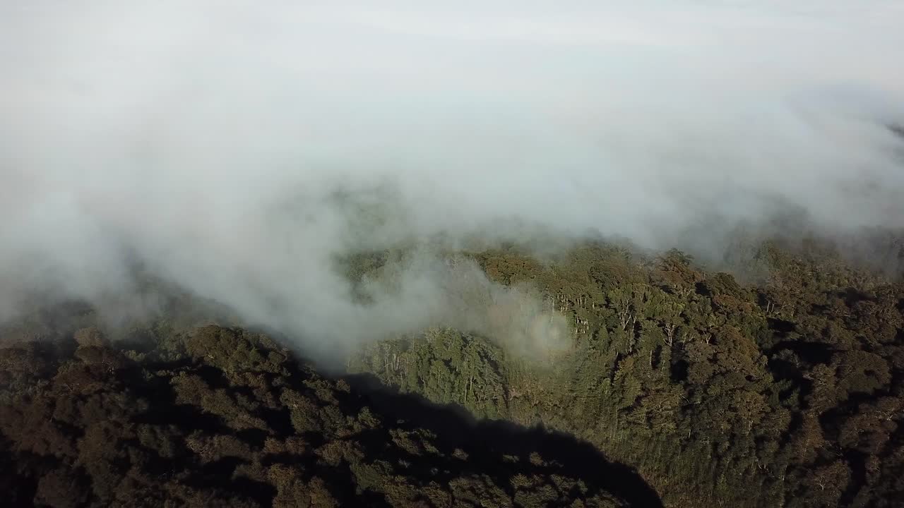Aerial View of Low Clouds Above Volcanic Mountains and Forest in Countryside of Chile