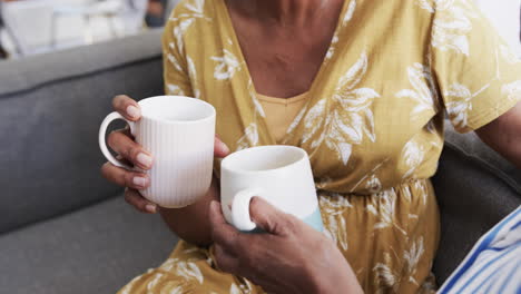 Midsection-of-senior-african-american-female-friends-on-couch-having-coffee,-slow-motion