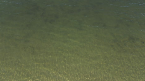 Calm-Ocean-At-Dennis-Port,-Cape-Cod-Bay-In-Nantucket-Sound,-Massachusetts-USA