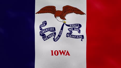 iowa dense flag fabric wavers, background loop