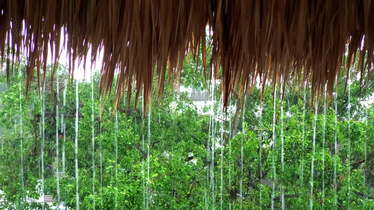 그리운 비오는 오후 생각