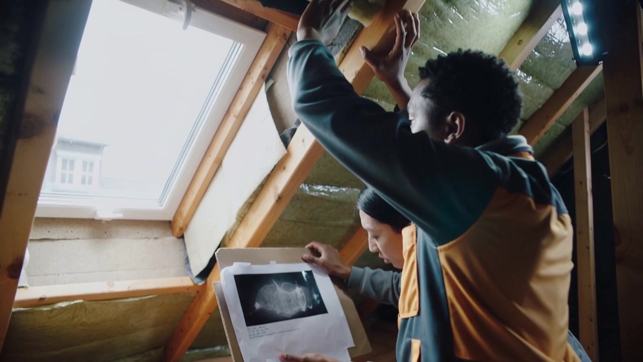 Pulling hooded man fitting green insulation under skylight, woman pointing at plan guiding fit