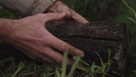 close up shot of man putting rotten log back on ground