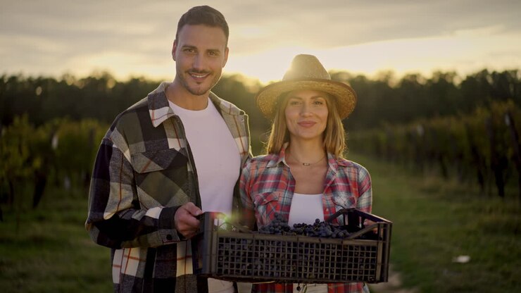 coppia che raccoglie l'uva nel vigneto