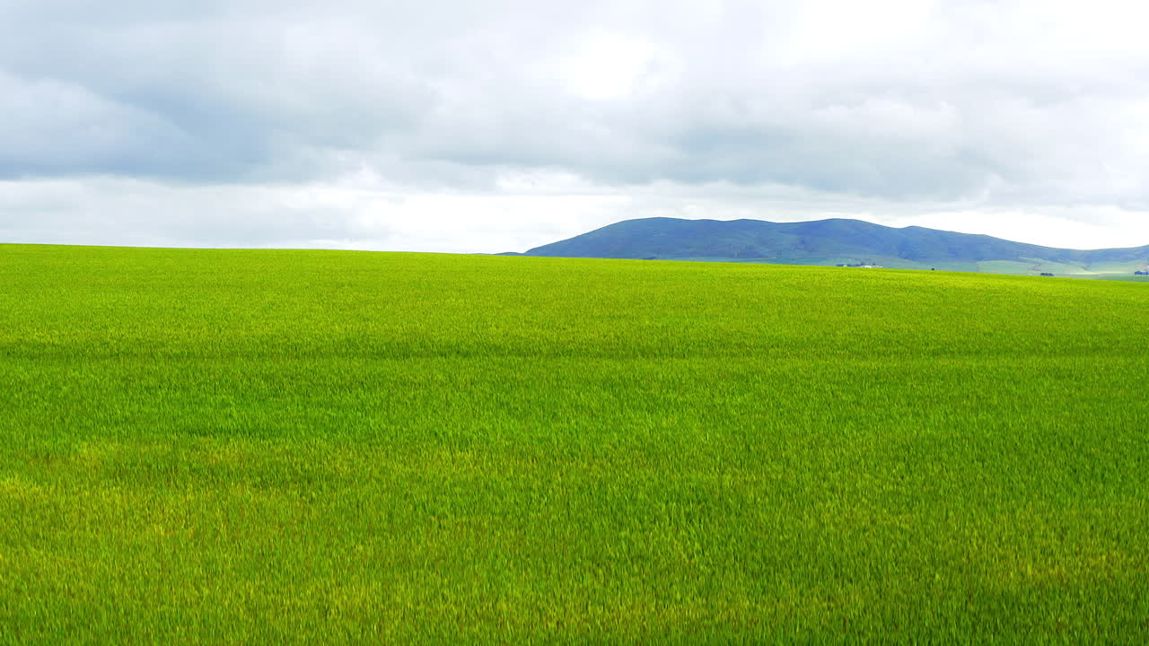 아름다운 초록색  ⁇ 의 4k 드론 영상