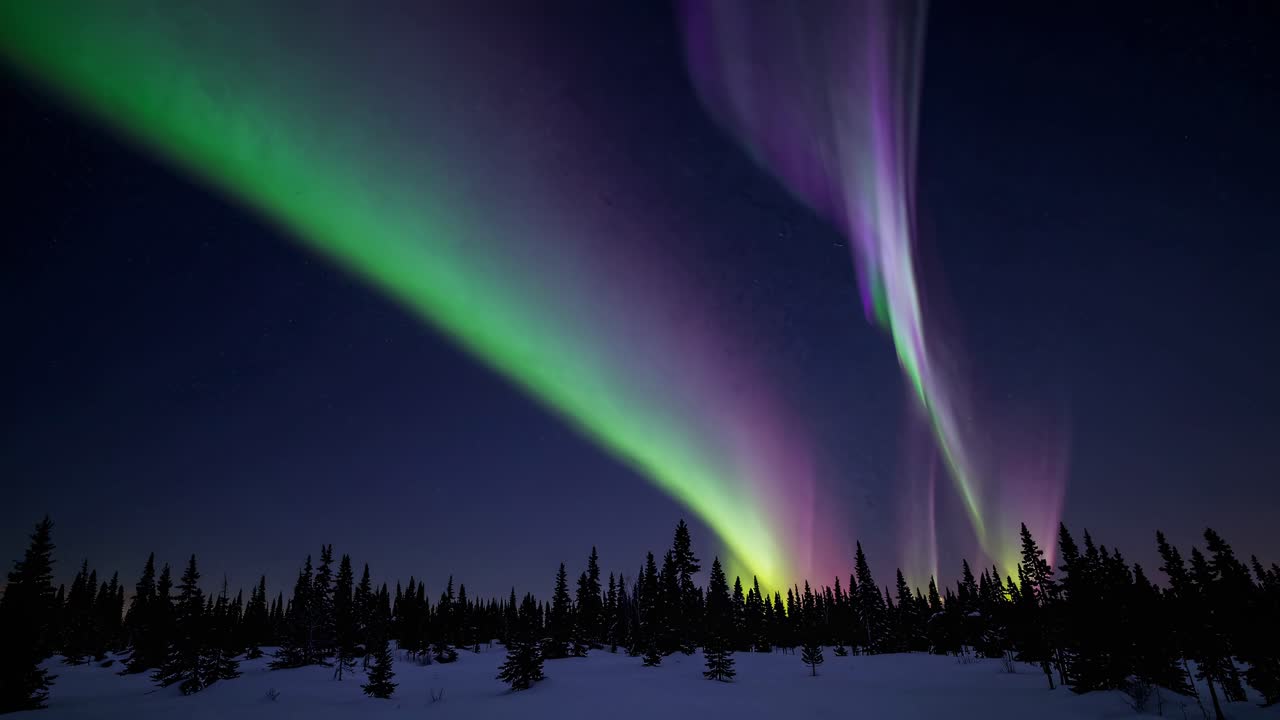 A mesmerizing wide-angle video shot of the Northern Lights dancing over a snowy forest