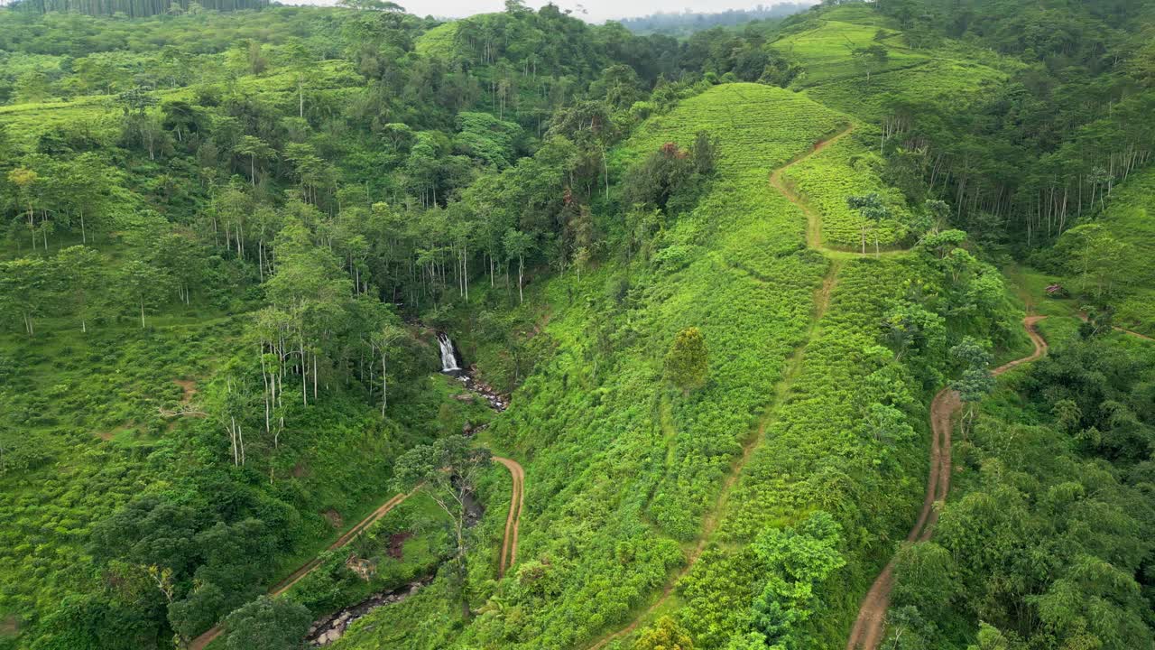 Dronevideo van terrasvormige theeplantages op glooiende heuvels in Indonesië, met gestructureerde rijen gewassen, landbouwpaden en een waterval die door het landschap stroomt in een tropisch landbouwgebied