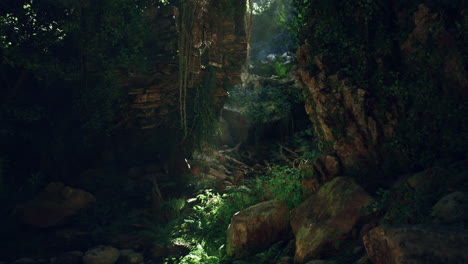 dense jungle path