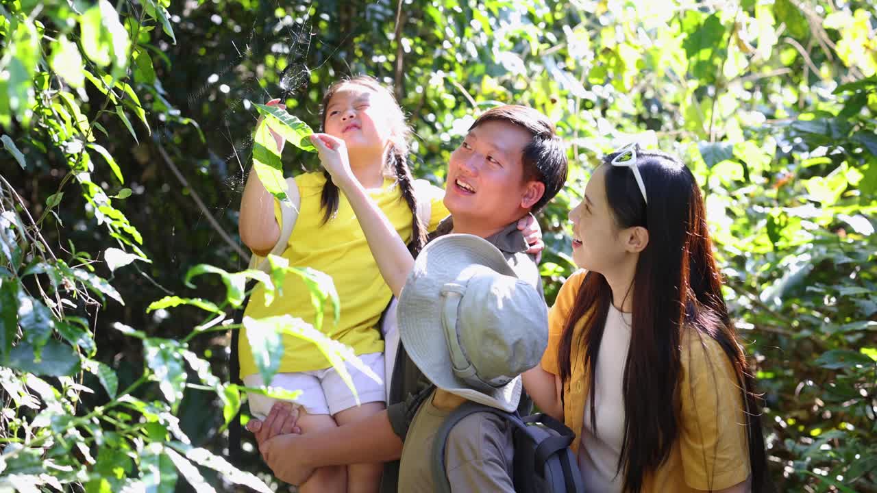 พ่อแม่และลูกสาวตรวจสอบใบไม้สีเขียวโดยใช้แว่นขยายระหว่างเดินป่าในป่าที่มีแดดส่อง