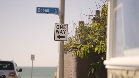 blue ocean lane street sign with one way sign with pacific ocean in background