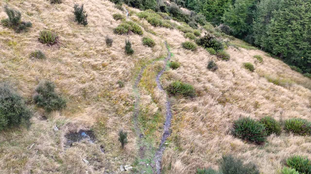 Drone glides above rugged mountain path, dry grass, and green trees under soft daylight