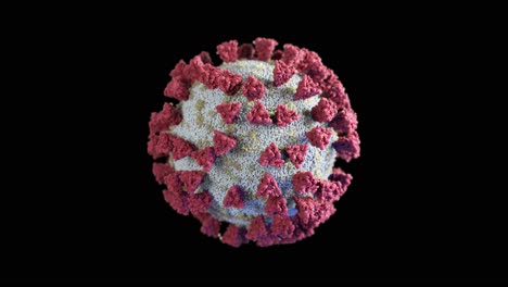 coronavirus 3d model