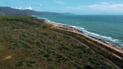 Aerial-drone-footage-of-green-pine-tree-forest-and-beach-seaside-coast-at-Maremma-National-Park-in-Tuscany,-Italy-with-an-island-in-the-distance-and-blue-cloud-sky-and-umbrella-shaped-trees