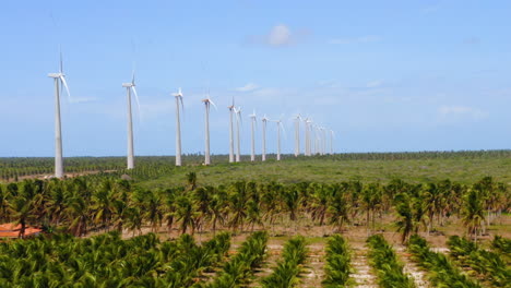 Aerial-view-of-wind-fan-in-the-middle-of-a-green-area-of-palm-trees,-Ceara,-Brazil